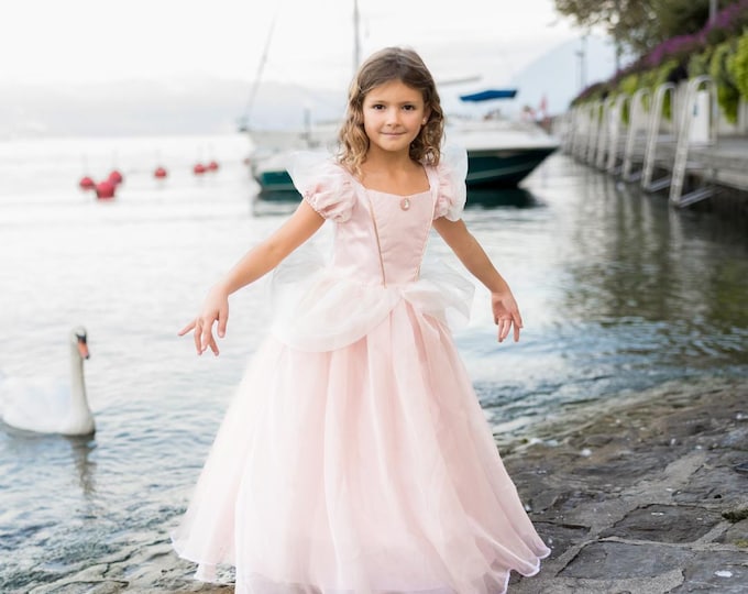 Antique Pink Princess Dress, Pink princess dress, pink dress for girls, kids dressup