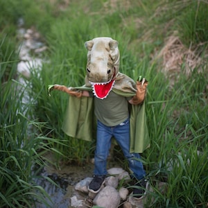 May include: A child wearing a dinosaur costume with a green cape, a dinosaur head hood, and brown gloves with claws. The costume has a red mouth and white teeth. The child is standing on rocks near a stream, surrounded by tall green grass.