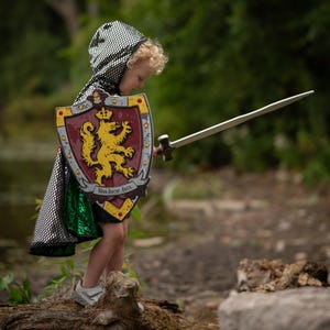 Knights Honour EVA Shield, knight shield, foam knight shield