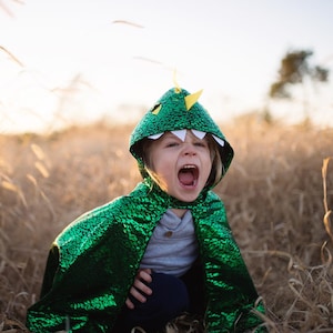 Toddler Dragon Cape Green Metallic, kids green dragon costume, dragon cape for kids, kids dress up,