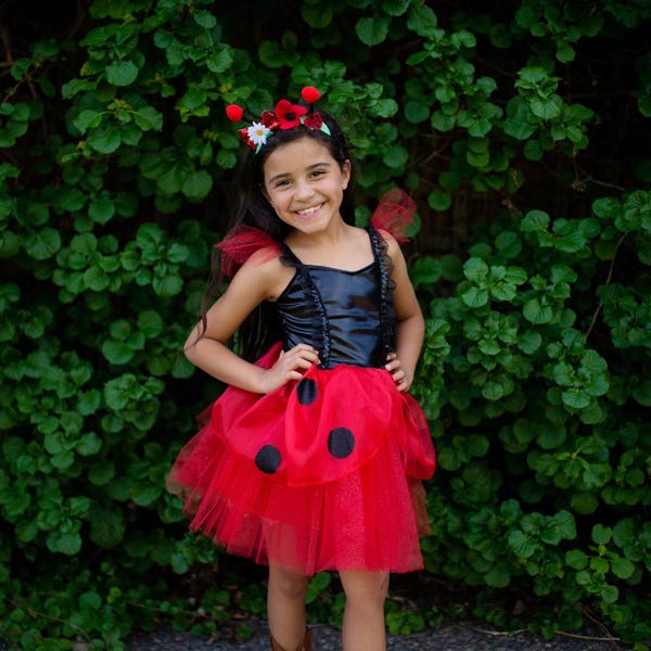 Vestido y diadema de mariquita, vestido de mariquita, disfraz de mariquita, disfraces para niños, vestido de mariquita para niños, disfraces para niños, juegos de simulación para niños