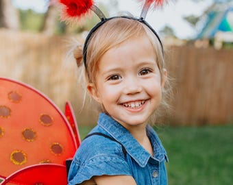 Ladybug Wings & Headband, ladybug costume, ladybug wings