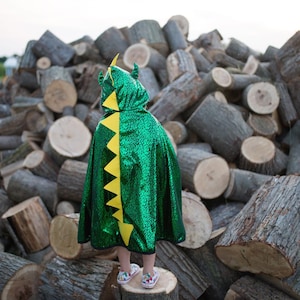 Dragon Knight Reversible Cape, pretend play dressup, kids dressup, dragon pretend play, dragon costume