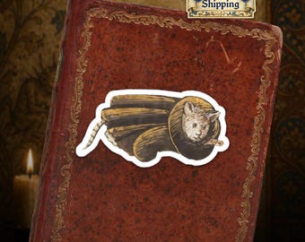 Envíos desde la UE - Pegatina medieval de vinilo troquelada con diseño de gato - Divertido gato en pergamino, arte medieval marginal - Pegatina de historia peculiar y extraña
