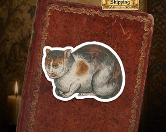 Ships from USA - Grumpy Medieval Cat - Marginalia Cat Sticker - Medieval Cat Vinyl Die-Cut Stickers - Gift for Cat Lovers