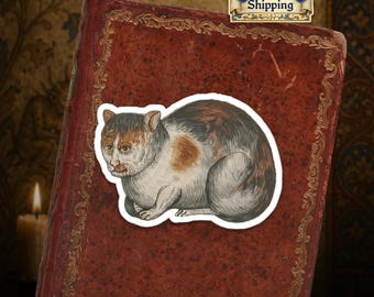 Ships from EU - Grumpy Medieval Cat - Marginalia Cat Sticker - Medieval Cat Vinyl Kiss-Cut Stickers - Gift for Cat Lovers
