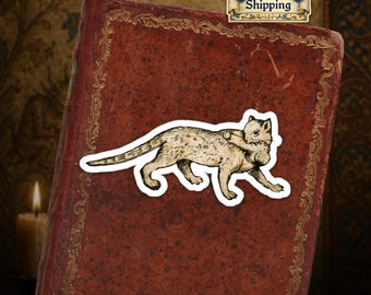 Envíos desde la UE - Pegatina de gato medieval - Arte marginal medieval peculiar - Pegatina de vinilo troquelada con estética de historia extraña