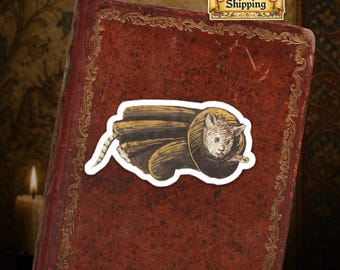 Ships from USA - Medieval Vinyl Die-Cut Cat Sticker - Funny Cat in Scroll Medieval Marginalia Art - Quirky Weird History Sticker