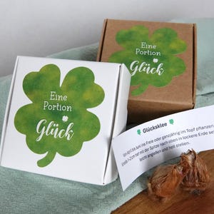 Glücksbringer für Silvester, Neujahr, Jubiläen oder Jahresfeiern | Glücksklee zum Pflanzen