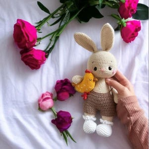 Crochet Bunny Doll  - Amigurumi Rabbit Toy , Stuffed Animal Plush , Stuffed Bunny , Baby Shower Gift , Easter Bunny Nursery Decor