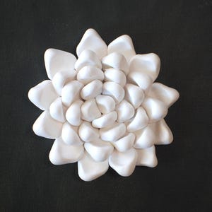 Dimensional Succulent Organic Modern Wall Sculpture Decor - White Clay Garden Plant Inspired Wall Hanging