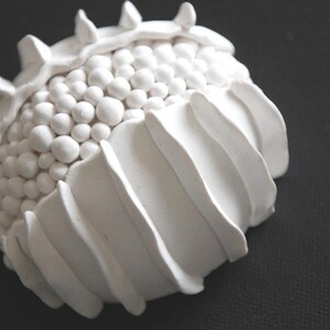 Op de afbeelding: Een witte keramische sculptuur met een getextureerd oppervlak. De sculptuur heeft een centraal gedeelte van kleine, ronde vormen en een omringende, geribbelde rand. Het stuk is geplaatst tegen een donkere achtergrond, wat de vorm benadrukt.