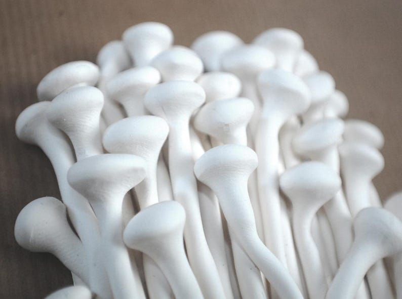 Puede incluir: Primer plano de un grupo de setas de haya blancas. Las setas tienen tallos largos y delgados y sombreros redondeados. El color es blanco brillante y limpio, y la textura parece suave. El fondo es marr&oacute;n neutro.