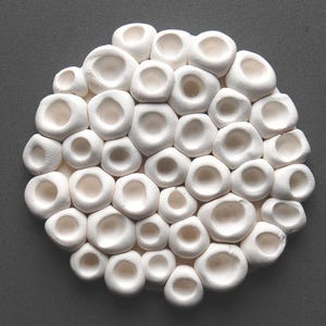 Coral Ocean Textures Wall Sculpture - Coral Reef Wall Plaque in Cream, White, Gray & Black