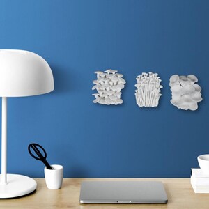 Puede incluir: Tres esculturas de hongos blancos est&aacute;n montadas en una pared azul. Los hongos tienen diferentes formas y tama&ntilde;os, con texturas detalladas. Una l&aacute;mpara blanca, unas tijeras, una taza peque&ntilde;a, un port&aacute;til y una pila de libros est&aacute;n sobre un escritorio de madera.
