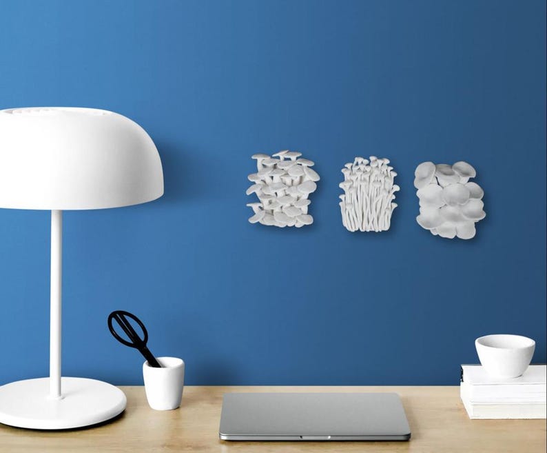 Puede incluir: Tres esculturas de hongos blancos est&aacute;n montadas en una pared azul. Los hongos tienen diferentes formas y tama&ntilde;os, con texturas detalladas. Una l&aacute;mpara blanca, unas tijeras, una taza peque&ntilde;a, un port&aacute;til y una pila de libros est&aacute;n sobre un escritorio de madera.