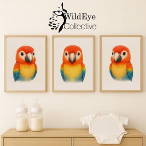 Bright & Cheery: Baby Parrot Nursery Print