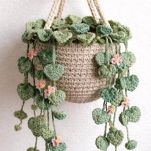 Häkelanleitung String of Hearts - Hängepflanze Amigurumi, Sukkulente PDF Anleitung (Deutsch + Englisch)