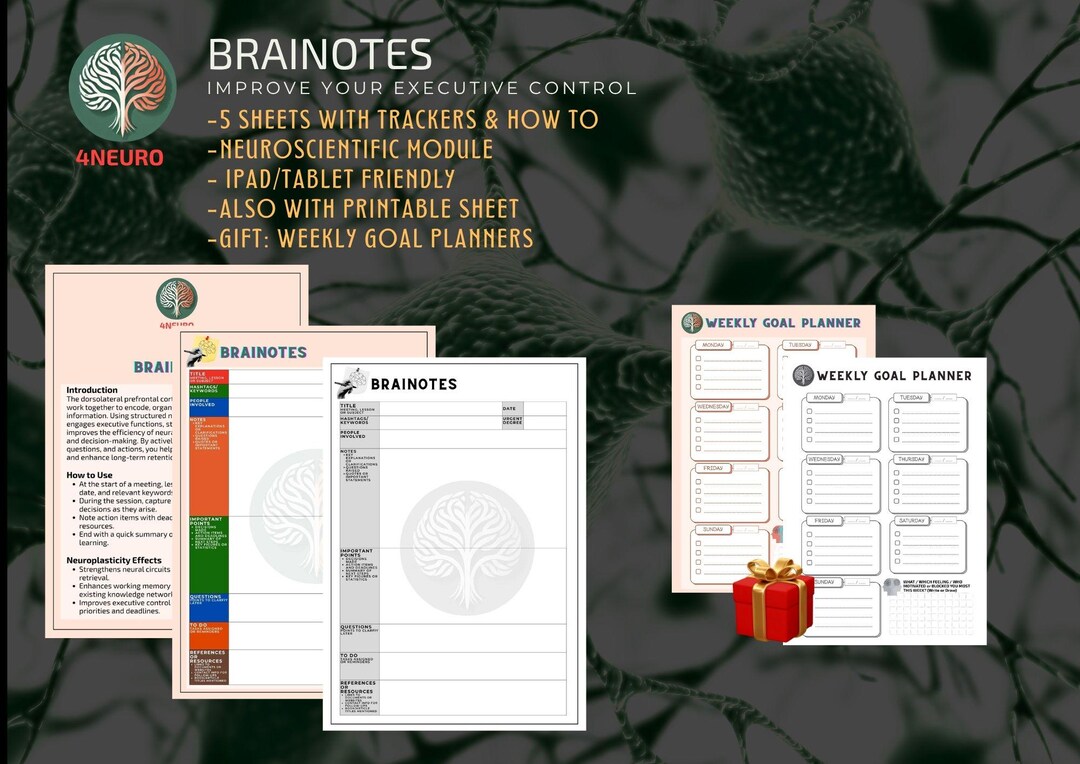 Brainotes: Neuroscience Note Taking Template, Brain Productivity Tool ...