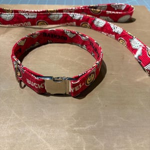dog collar and leases