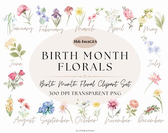 Conjunto de imágenes prediseñadas de flores del mes de nacimiento, flores en acuarela (PNG)