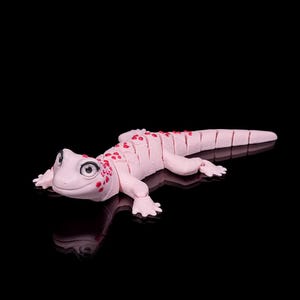 3D Printed Gecko