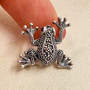 Könnte beinhalten: Eine detaillierte silberne Froschfigur mit strukturierter Oberfläche und kleinen, runden Akzenten. Die Beine des Frosches sind ausgestreckt und seine Augen sind sichtbar. Die Figur ist ein dekorativer Gegenstand.