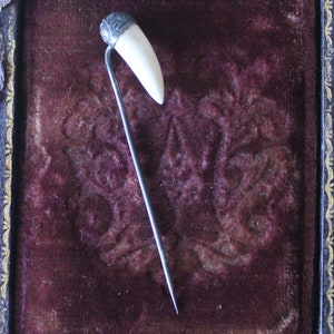 May include: A white tooth-shaped pin with a silver top, displayed on a dark red velvet background.