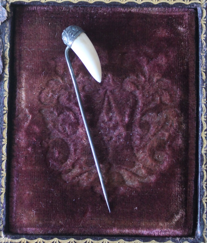 May include: A white tooth-shaped pin with a silver top, displayed on a dark red velvet background.