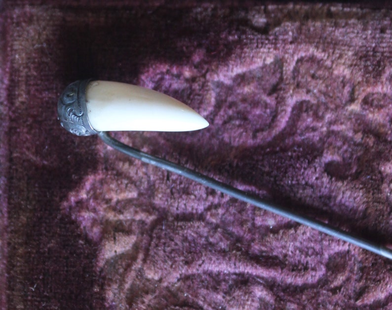 May include: A white bone hair pin with a silver decorative top. The pin is on a purple velvet surface.