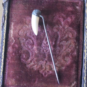 May include: A white tooth pin with a silver top, displayed in a velvet-lined box.