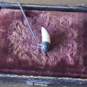 May include: A white tooth-shaped pin with a silver filigree setting, displayed in a velvet-lined box.