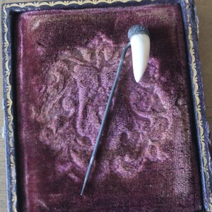 May include: A small, white tooth mounted on a silver pin, displayed in a velvet-lined box.