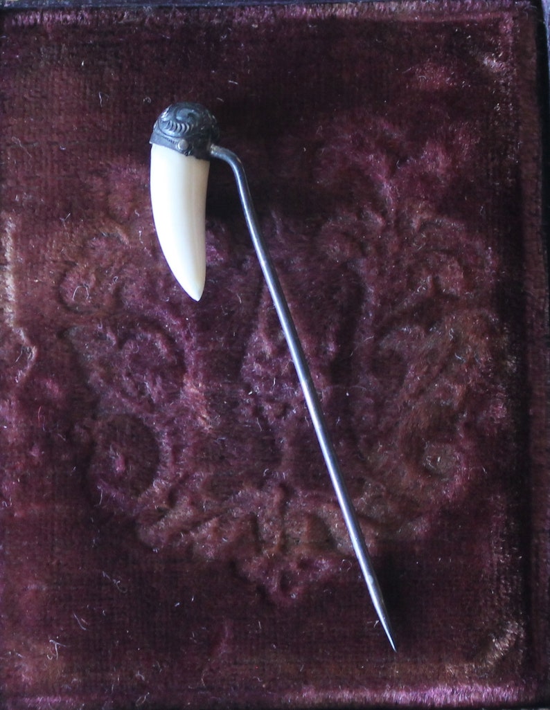 May include: A silver pin with a white tooth-shaped charm. The pin is displayed on a dark purple velvet background.