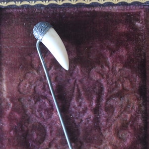 May include: A silver pin with a white tooth-shaped charm. The pin is displayed on a dark red velvet background.