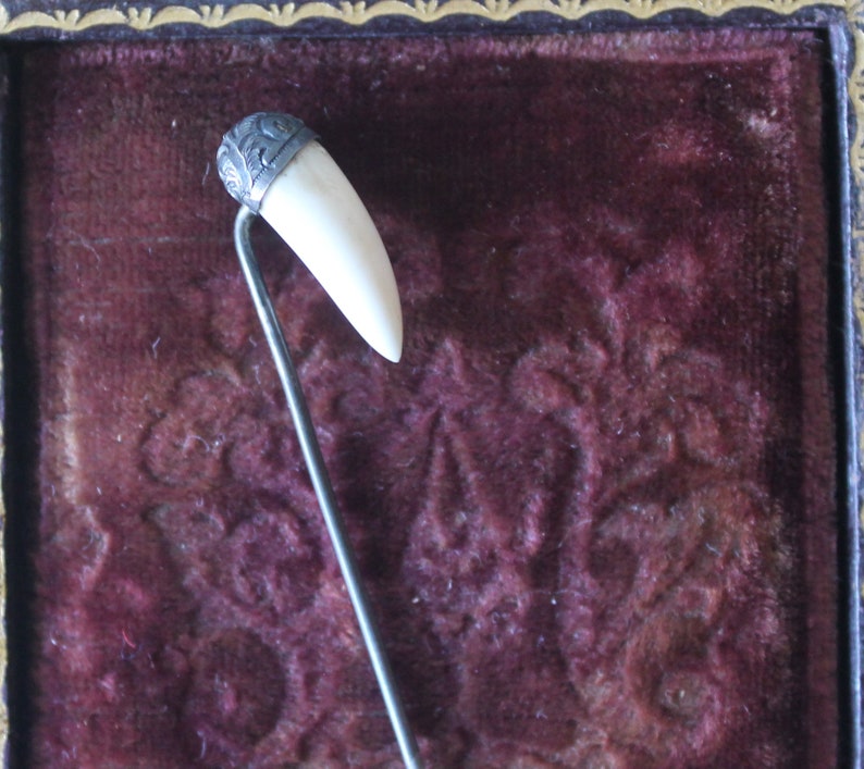 May include: A silver pin with a white tooth-shaped charm. The pin is displayed on a dark red velvet background.
