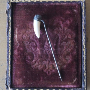 May include: A small, white tooth-shaped pin with a silver top and a silver pin. The pin is displayed in a velvet-lined box.