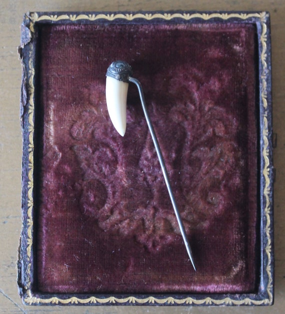 Antique Hat Pin, Antique Animal Tooth Hat Pin, Victorian Hat Pin, Unusual Hat Pin, Unique Hat Pin, Animal Tooth Jewelry, Animal Tooth