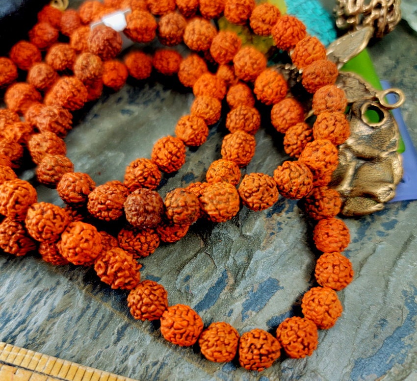 Rudraksha, 8mm, Indian, Prayer Beads, Seeds, Mala Length, 108 beads, 34  inch strand, Priced per strand