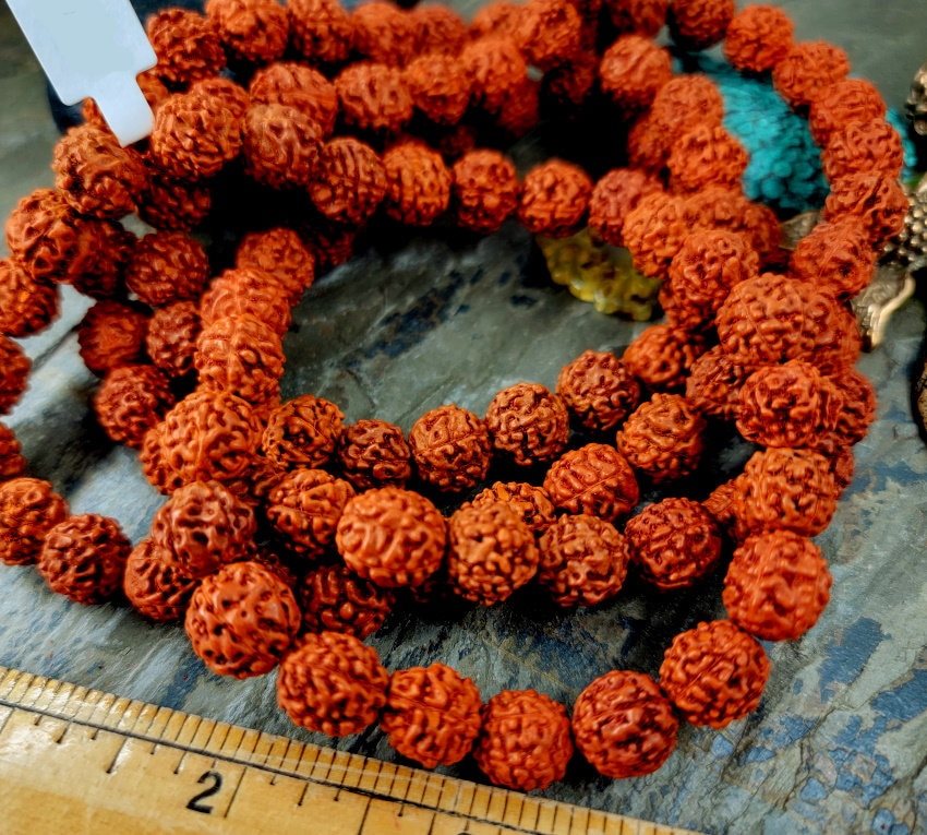 Rudraksha, 10mm, Indian, Prayer Beads, Seeds, Mala Length, 108