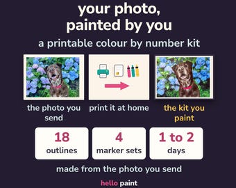 custom paint & color by number kit from your photo · printable PDF · alcohol marker, ohuhu, copic, colored pencil · pet portrait gift
