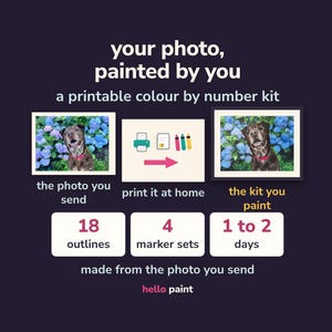 Custom Color By Number Kit • Pet Portrait, Photo to Paint (Printable PDF)