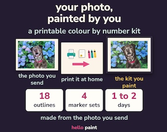 Custom Color By Number Kit • Pet Portrait, Photo to Paint (Printable PDF)