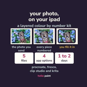 Custom Photo Color by Number Kit for iPad • Procreate Pet Portrait (Digital Painting) image 1