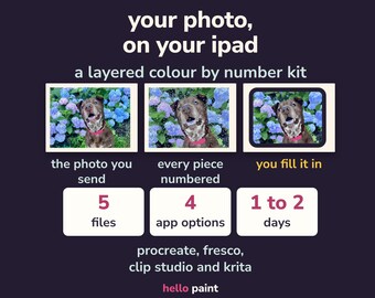 Custom Photo Color by Number Kit for iPad • Procreate Pet Portrait (Digital Painting)