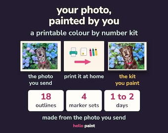 Custom Color by Number Kit • Photo to Printable Outline (Digital Download)