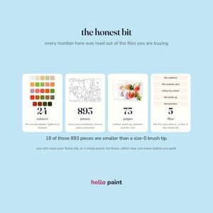 May include: A light blue informational graphic titled the honest bit, detailing a paint-by-number kit with 24 colours, 893 numbered pieces, 73 pages, and 5 files. It notes that 18 pieces are smaller than a size-0 brush tip, requiring a fine nib.
