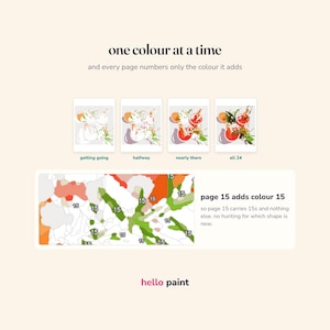 May include: An instructional graphic for a paint-by-number book titled hello paint. It shows four progress stages labelled getting going, halfway, nearly there, and all 24. A detailed section highlights page 15 adds colour 15 with numbered shapes.