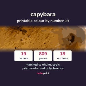 Kit para colorear por números de capibaras • PDF imprimible para marcadores y lápices (descarga digital)