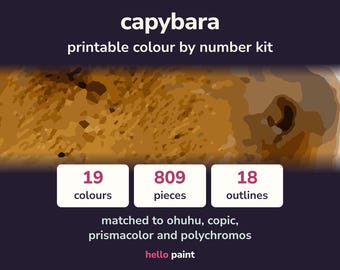 Kit da colorare con i numeri a tema capibara • PDF stampabile per pennarelli e matite (download digitale)
